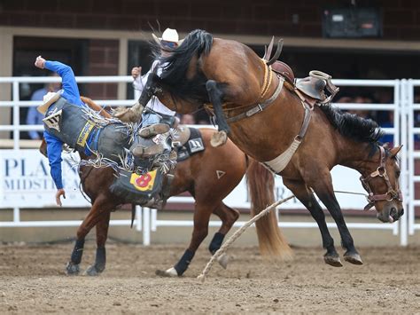 trampede calgary video|Calgary Stampede Rodeo Day 4